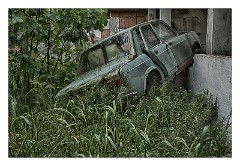 Puglia Lecce Area 056  The Abandoned Winery, Outdoors Overgrown and Abandoned Vehicles - Squinzano
