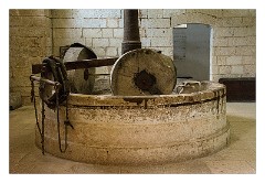 Puglia Lecce Area 064  Santa Maria de Cerrate Abbey - The Museum, Olive Press