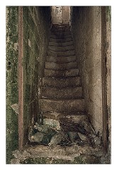 Puglia Lecce Area 085  Salento Area Abandoned Building