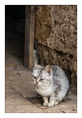 Puglia Lecce Area 092  The Farmyard!!