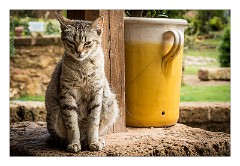 Puglia Lecce Area 105  Masseria Provenzani