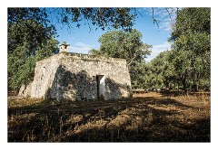 Puglia Lecce Area 117  The Early Morning Walk from Masseria Alcaini