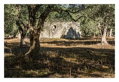Puglia Lecce Area 118  The Early Morning Walk from Masseria Alcaini - Abandoned Trulli