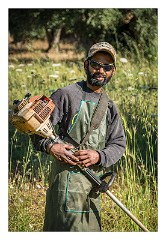 Puglia Lecce Area 122  The Early Morning Walk from Masseria Alcaini - The Gardner