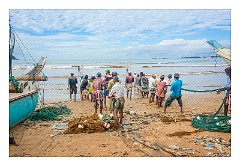 Galle 02  Pulling in the Nets for the days Catch