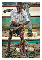 Galle 04  Coiling in the net