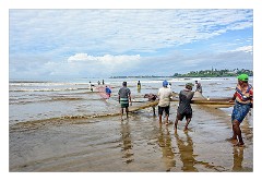 Galle 07  Pulling in the Nets for the days Catch