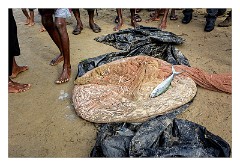 Galle 11  The Catch for the Day