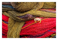 Galle 13  Crab caught in the nets