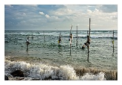 Galle 37  The Stilt Fishermen