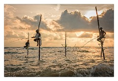 Galle 39  The Stilt Fishermen
