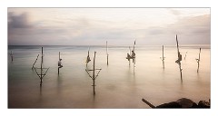Galle 40  The Stilt Fishermen