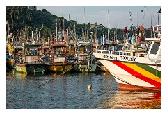 Galle 42  A Whaling Trip