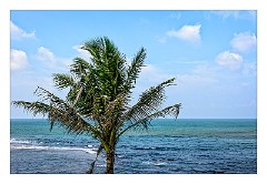 Galle 62  View from the Ramparts