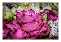 Kandy 08  Flower stalls for Offerings to the Buddha in the temple