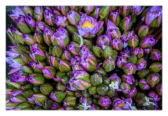 Kandy 10  Flower stalls for Offerings to the Buddha in the temple