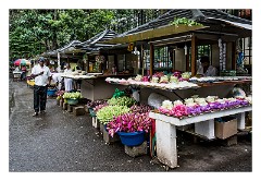 Kandy 16  Flower Stalls