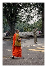 Kandy 17  A Monk in Kandy