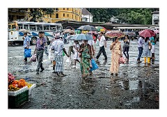 Kandy 25  Many Umbrellas and much rain