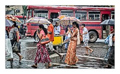 Kandy 26  Many Umbrellas and much rain
