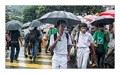 Kandy 27  Many Umbrellas and much rain