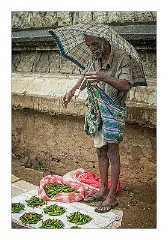 Kandy 29  Selling Chilies