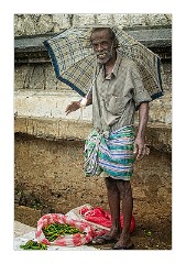 Kandy 30  Selling Chilies