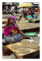 Negombo 01  The Fishing Market