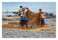Negombo 08  Drying the Fish on the beach