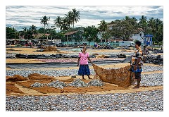 Negombo 09  Drying the Fish on the beach
