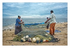 Negombo 11  Checking the Nets