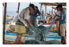Negombo 16  Checking the Nets