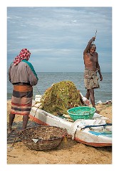 Negombo 19  Back Scratching