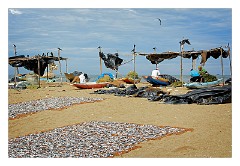 Negombo 20  The Beach