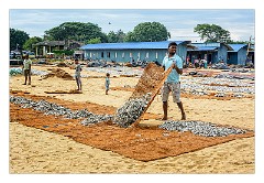 Negombo 21  Drying the Fish