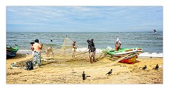 Negombo 24  Working on the Nets
