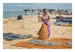 Negombo 25  Drying the Fish on the beach