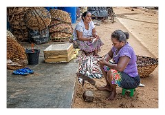 Negombo 26  Filleting the Fish