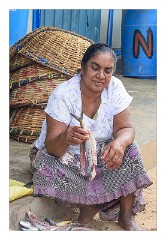 Negombo 27  Filleting the Fish