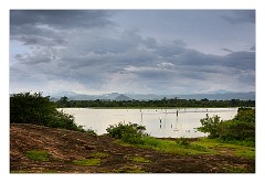 Udawalawa 07  Udawalawa National Park