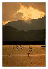 Udawalawa 08  Udawalawa National Park