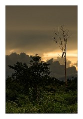 Udawalawa 14  Udawalawa National Park