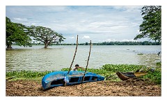 Yala 02  Workman near Yala