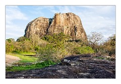 Yala 14  Yala National Park