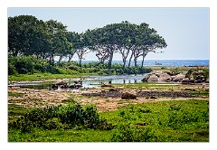 Yala 39  Yala National Park