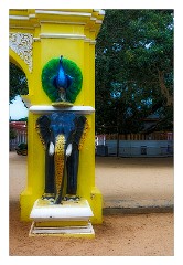 Yala 43  Walking towards the Stupa at Kataragama