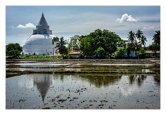 Yala 53  A Stupa near Yala with reflections in the rice fields