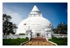 Yala 54  Stupa near Yala