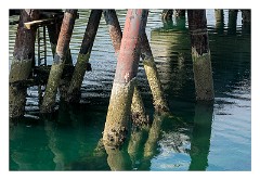 Harris 009  Tarbert Port