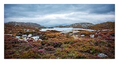 Harris 015  Drive along the Golden Road